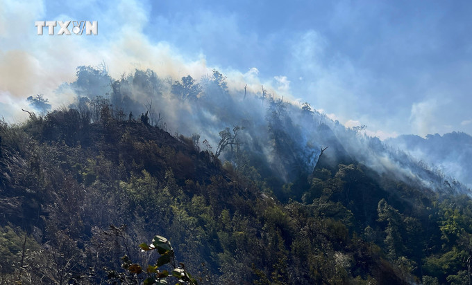 vna_potal_lao_cai_co_ban_khong_che_duoc_cac_diem_chay_rung_tren_vuon_quoc_gia_hoang_lien_7234097 (2).jpg