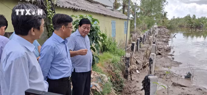 vna_potal_khan_truong_trien_khai_cac_giai_phap_bao_ve_cuoc_song_cua_nguoi_dan_ven_song_ca_mau_–_bac_lieu__7425207.jpg