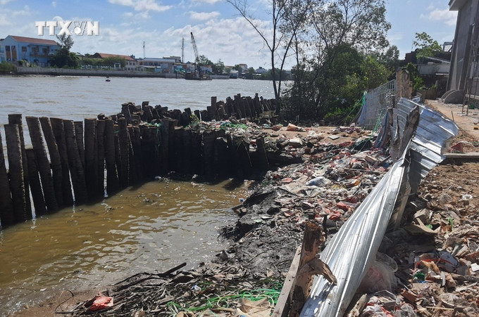 Hiện trường điểm sạt lở thuộc ấp Khúc Tréo A, xã Tân Phong, thị xã Giá Rai. Ảnh: TTXVN vna_potal_khan_truong_trien_khai_cac_giai_phap_bao_ve_cuoc_song_cua_nguoi_dan_ven_song_ca_mau_–_bac_lieu_7425204.jpg