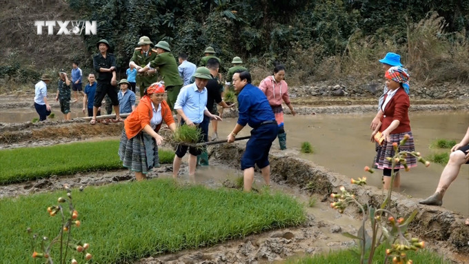 Bí thư Huyện ủy Trạm Tấu Giàng A Thào xuống đồng hưởng ứng phong trào " Ngày cuối tuần cùng người dân". Ảnh: TTXVN phát vna_potal_tao_nguon_can_bo_tre_co_so_o_vung_cao_tram_tau_yen_bai_7541056.jpg