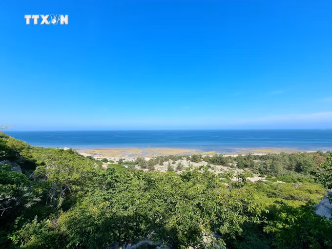 vna_potal_chung_tay_bao_ton_loai_rua_bien_quy_hiem_o_vuon_quoc_gia_nui_chua_ninh_thuan_7523385.jpg