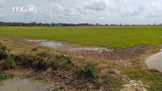 vna_potal_tinh_hinh_xam_nhap_man_tai_soc_trang_dien_bien_phuc_tap_7235376.jpg