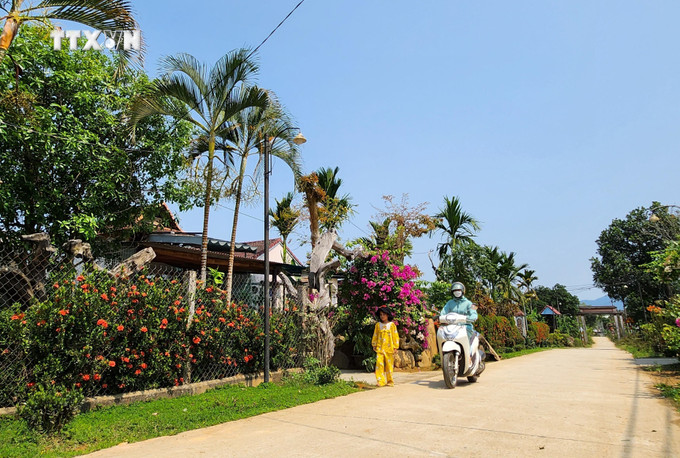 Tuyến đường hoa thuộc xã Hương Xuân (Nam Đông, Thừa Thiên - Huế) do lực lượng thanh niên địa phương tham gia xây dựng đã góp phần thay đổi bộ mặt nông thôn mới của địa phương. Ảnh: Mai Trang - TTXVN vna_potal_dau_an_mau_ao_xanh_noi_vung_nui_cao_xu_hue_7288220.jpeg