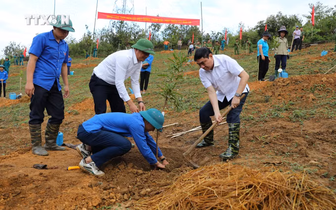 vna_potal_dien_bien_phan_dau_dua_tuan_giao_thanh_thu_phu_mac_ca_cua_ca_nuoc_7392214.jpg