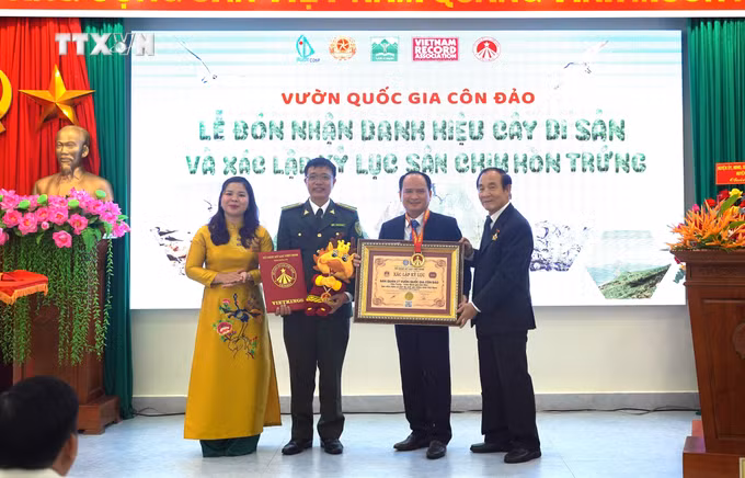 vna_potal_vuon_quoc_gia_con_dao_don_nhan_danh_hieu_cay_di_san_va_bang_xac_lap_ky_luc_san_chim_hon_trung_7729020.jpg