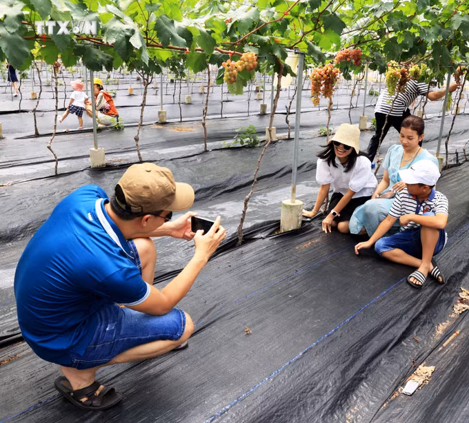vna_potal_kham_pha_binh_an_farm_o_binh_thuan_6977214.jpg