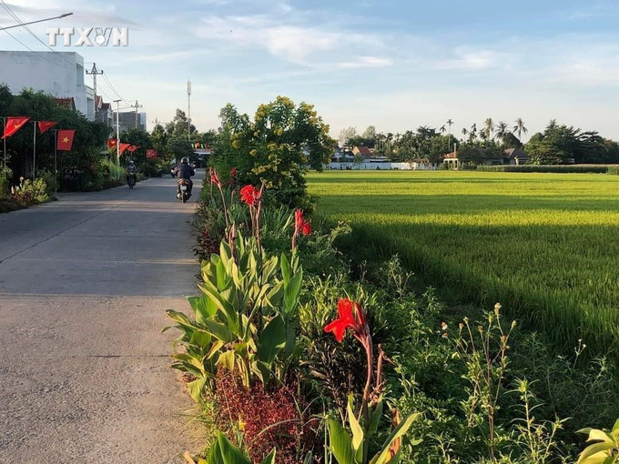 Mô hình xây dựng tuyến đường đẹp tại xã Nghĩa Trung, huyện Tư Nghĩa. Ảnh: Đinh Hương - TTXVN vna_potal_quang_ngai_phat_huy_suc_manh_dai_doan_ket_de_xay_dung_que_huong_7553028.jpg
