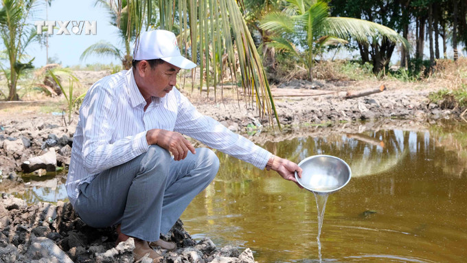 Nước trong vuông của ông Mạc Hoàng Đâu, xã Nam Thái, huyện An Biên, đỏ đục và độ mặn trên 25 phần nghìn, vượt mức thích hợp nuôi tôm, cua. Ảnh: Văn Sĩ - TTXVN vna_potal_kien_giang_han_man_gay_thiet_hai_hon_600ha_nuoi_tom_cua_7303777.jpg