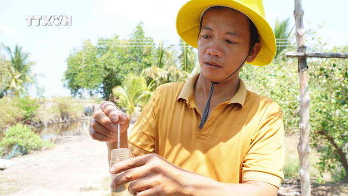 Độ mặn trong vuông tôm ngày 2/4/2024 tại xã Nam Thái, huyện An Biên, là gần 27 phần nghìn. Ảnh: Văn Sĩ - TTXVN vna_potal_kien_giang_han_man_gay_thiet_hai_hon_600ha_nuoi_tom_cua_7303774.jpg