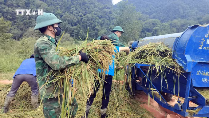 vna_potal_quang_binh_bo_doi_bien_phong_giup_dong_bao_ruc_thu_hoach_lua_7375847.jpg