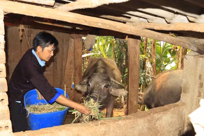 Đứng dậy sau vấp ngã và trở thành bí thư chi bộ uy tín