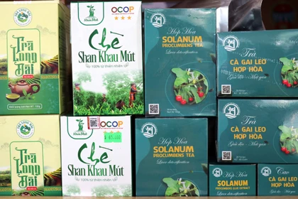 OCOP Tuyên Quang: Từ sản vật bản địa đến thương hiệu vùng miền