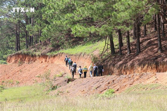 Cung đường trekking Tà Năng (huyện Đức Trọng – Lâm Đồng) - Phan Dũng (huyện Tuy Phong – Bình Thuận) mạo với nhiều độ khó và nhiều cảnh đẹp thu hút đông đảo giới trẻ khám phá. Ảnh: Nguyễn Thanh - TTXVN vna_potal_du_lich_viet_nam_binh_thuan_khao_sat_cung_duong_mao_hiem_ta_nang_–_phan_dung_7009742.jpg