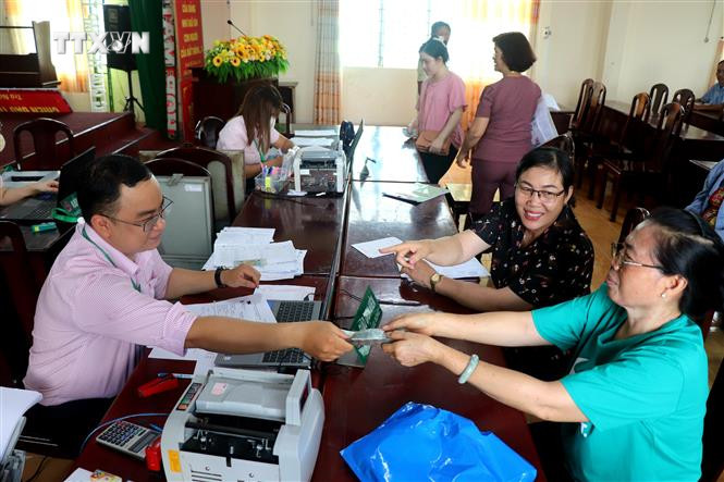 Bà Đồng Thị Lệ Thủ, khu vực 2, phường Trà Nóc, được vay 70 triệu đồng từ Phòng Giao dịch Ngân hàng Chính sách xã hội Bình Thủy để phát triển kinh tế. Ảnh: Thu Hiền - TTXVN vna_potal_nong_dan_can_tho_su_dung_hieu_qua_nguon_von_tin_dung_chinh_sach_7249738.jpg