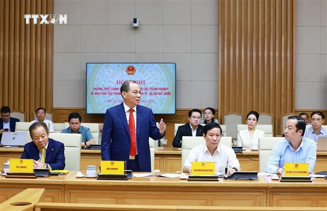 Phạm Nhật Vượng Chủ tịch HĐQT Tập đoàn Vingroup phát biểu. Ảnh: Dương Giang-TTXVN vna_potal_thuong_truc_chinh_phu_lam_viec_voi_cac_doanh_nghiep_lon_ve_giai_phap_gop_phan_phat_trien_kinh_te-xa_hoi_7608306.jpg