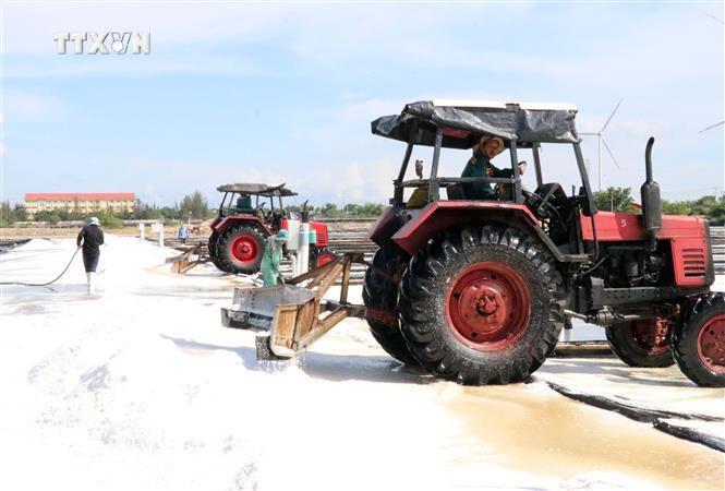 Sản xuất muối là thế mạnh phát triển của vùng kinh tế trọng điểm phía Nam tỉnh Ninh Thuận. Ảnh: Công Thử - TTXVN vna_potal_ninh_thuan_phat_trien_vung_kinh_te_trong_diem_phia_nam_tro_thanh_vung_kinh_te_dong_luc_7655491.jpg
