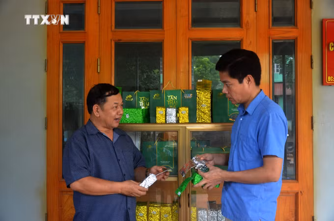 vna_potal_tuyen_quang_giam_doc_nguoi_dao_mo_rong_thuong_hieu_che_bup_kho_tan_thanh__7617244.jpg
