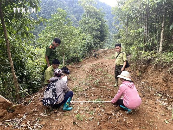 Lực lượng chức năng cùng người dân thống kê chi tiết những diện tích rừng bị đào bới làm đường. Ảnh: TTXVN phát vna_potal_chat_pha_rung_phong_ho_trai_phep_o_don_phong_bac_kan_7456578.jpg