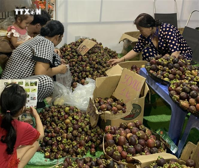 Người dân có mặt từ sớm để mua trái cây tại lễ hội. Ảnh: Huyền Trang - TTXVN vna_potal_khai_mac_le_hoi_mua_trai_chin_2024_voi_chu_de_“lai_thieu_mua_hen”_7432785.jpg