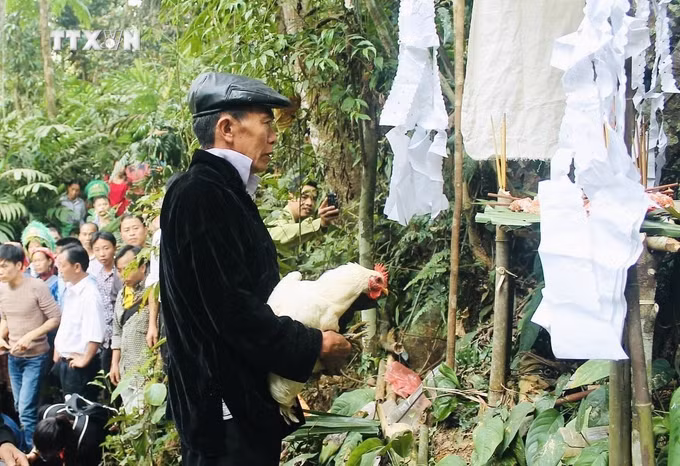 vna_potal_yen_bai_dac_sac_tet_rung_na_hau_2024__7262396 (1).jpg