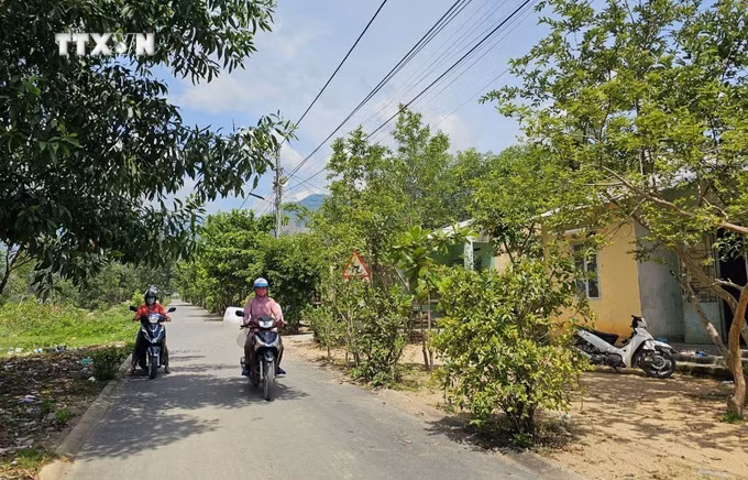 vna_potal_khanh_hoa_doi_thay_tren_vung_dat_tai_dinh_cu_bo_lang_7425603.jpg