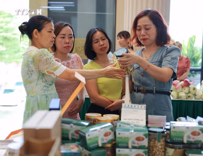 vna_potal_ban_giai_phap_bao_ton_va_phat_trien_hoa_sen_viet_nam__7479188.jpg