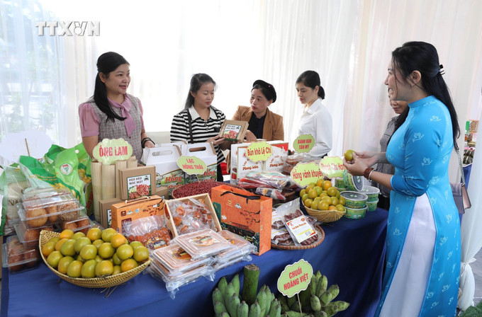 Gian trưng bày giới thiệu sản phẩm khởi sự kinh doanh/khởi nghiệp của phụ nữ huyện Văn Lãng. Ảnh: Anh Tuấn – TTXVN vna_potal_lang_son_to_chuc_ngay_hoi_phu_nu_khoi_nghiep_sang_tao_va_chuyen_doi_xanh_nam_2024_7632726.jpg