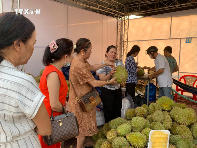 Người dân có mặt từ sớm để mua trái cây tại lễ hội. Ảnh: Huyền Trang - TTXVN vna_potal_khai_mac_le_hoi_mua_trai_chin_2024_voi_chu_de_“lai_thieu_mua_hen”_7432783.jpg