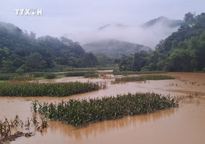 vna_potal_ha_giang_mua_to_nuoc_thuong_nguon_do_ve_gay_ngap_lut_tren_dien_rong_7422422.jpg