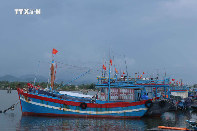 Khu neo đâu tàu thuyền An Hòa hiện có đang được nâng cấp mở rộng. Ảnh: Đoàn Hữu Trung - TTXVN vna_potal_quang_nam_diem_nhan_tren_lo_trinh_hoan_thien_co_so_hau_can_nghe_ca_7490194.jpg