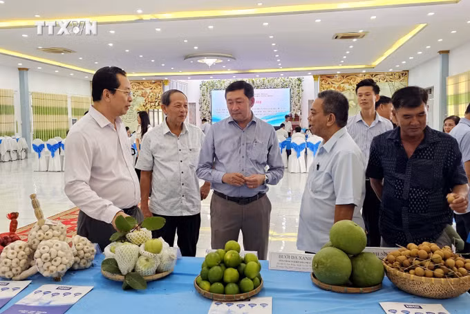 vna_potal_soc_trang_so_ket_2_nam_thuc_hien_de_an_phat_trien_nong_nghiep_huu_co_7518362.jpg