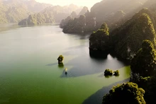 Phê duyệt Nhiệm vụ lập Quy hoạch tu bổ, phục hồi Khu bảo tồn thiên nhiên Na Hang - Lâm Bình