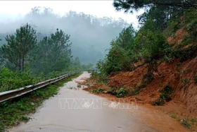 Kon Tum tăng cường các biện pháp ứng phó mưa bão
