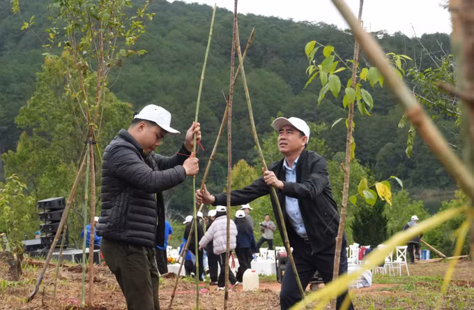 trong-rung-lamdong-1.jpg