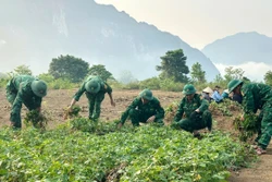 Ngày Biên phòng toàn dân 3/3: 'Lá chắn xanh' nơi đại ngàn Trường Sơn