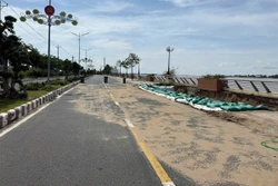 Khắc phục tạm thời sự cố sụp lún, sạt lở kè Thường Thới Tiền