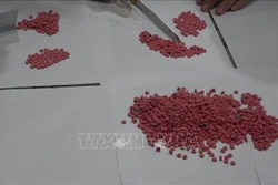 Triệt phá đường dây vận chuyển trái phép 60.000 viên hồng phiến qua biên giới