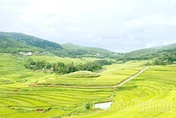 Đưa ruộng bậc thang Miền Đồi trở thành điểm đến hấp dẫn trên bản đồ du lịch Việt Nam