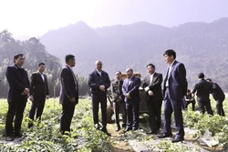 Rà soát, giải quyết khó khăn ở các xã vùng cao phù hợp với thực tiễn