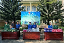 Tạo dựng hình ảnh đẹp về thanh niên Việt Nam thời kỳ mới