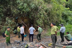Xử lý các đối tượng khai thác vàng không phép trong rừng phòng hộ Đắk Glong - Gia Nghĩa