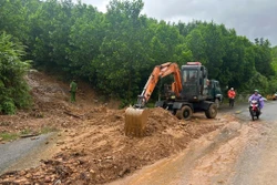 Bão số 10: Đà Nẵng tìm cách liên lạc với hàng trăm người dân trong rừng