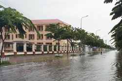 Khẩn trương khắc phục thiệt hại do mưa lớn, dông lốc ở Cà Mau
