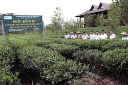 Bước chuyển mới cho nông thôn từ sản xuất sạch đến điểm đến du lịch