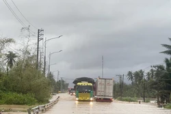 Nhiều tuyến đường bộ, đường sắt tại Đắk Lắk bị ngập, hư hỏng do mưa lũ