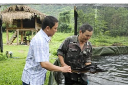 Không để chậm trễ khi thực hiện Chương trình phát triển kinh tế - xã hội vùng đồng bào dân tộc thiểu số và miền núi