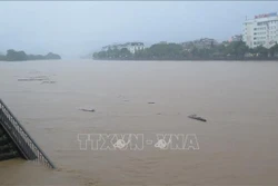 Lào Cai kịp thời sơ tán nhiều hộ dân ra khỏi khu vực nguy cơ thiên tai