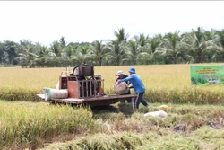 Ứng dụng công nghệ cao giúp nông dân tăng thu nhập gấp từ 3 - 10 lần
