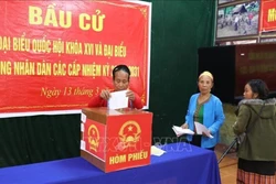 Nghệ An: 55 khu vực bỏ phiếu sớm đều đạt tỷ lệ cử tri đi bầu cao