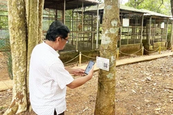 Bảo vệ rừng bằng mã QR